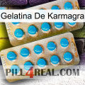 Karmagra Jelly new08